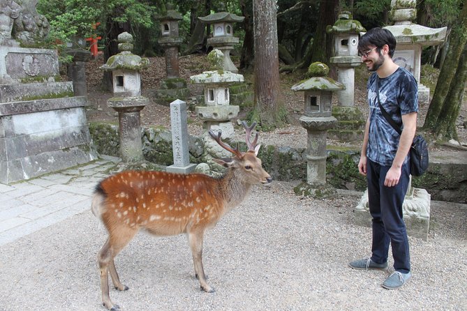 Nara - Highlights Bike Tour - Starting at Furuichichō, not beside the deer
