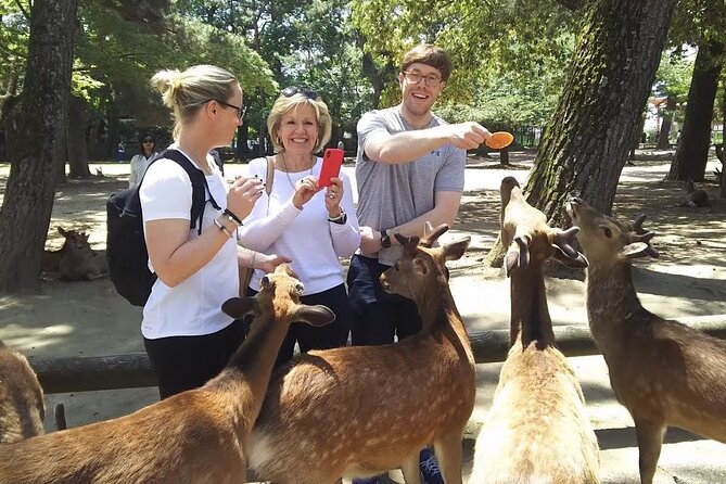 Nara Private Tour: Flexible Pickup from Kyoto, Osaka, or Nara - Key points to know before booking