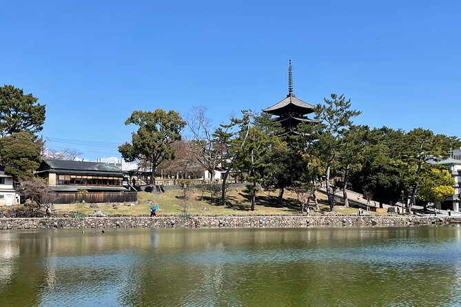 Nara Private Tour: Flexible Pickup from Kyoto, Osaka, or Nara - Yakushi-ji and its twin pagodas