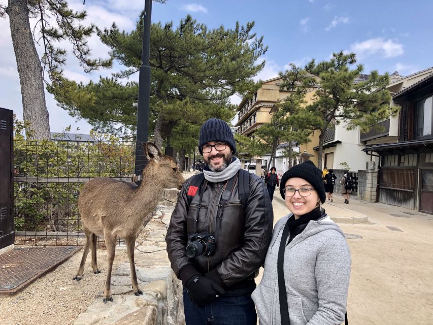 Nara: Private Tour with Private Guide - Why a private guide changes a Nara day
