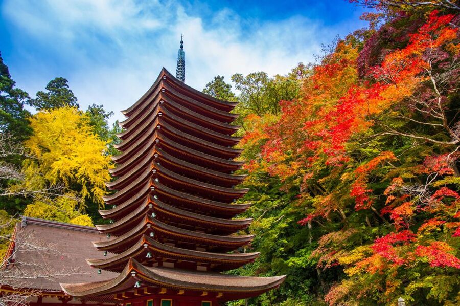 Nara: Private Tour with Private Guide - Todai-Ji and the Great Buddha