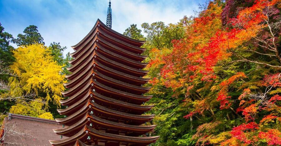 Nara: Private Tour with Private Guide - Starting at Kofuku-Ji and its Buddhist treasures