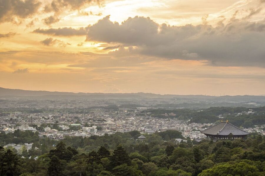 Nara: Private Walking Tour with a Local - Why a private walk can improve your first day in Nara