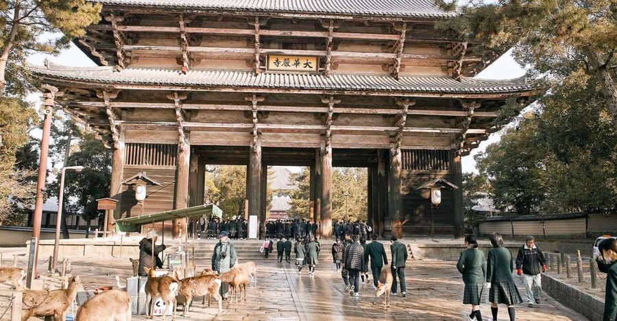 Nara: Private Walking Tour with a Local - Starting near JR Nara Station or Naramachi