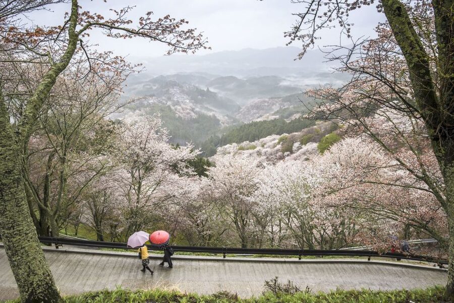 Nara: Private Walking Tour with a Local - Eugene, Ursula, and the value of the guide