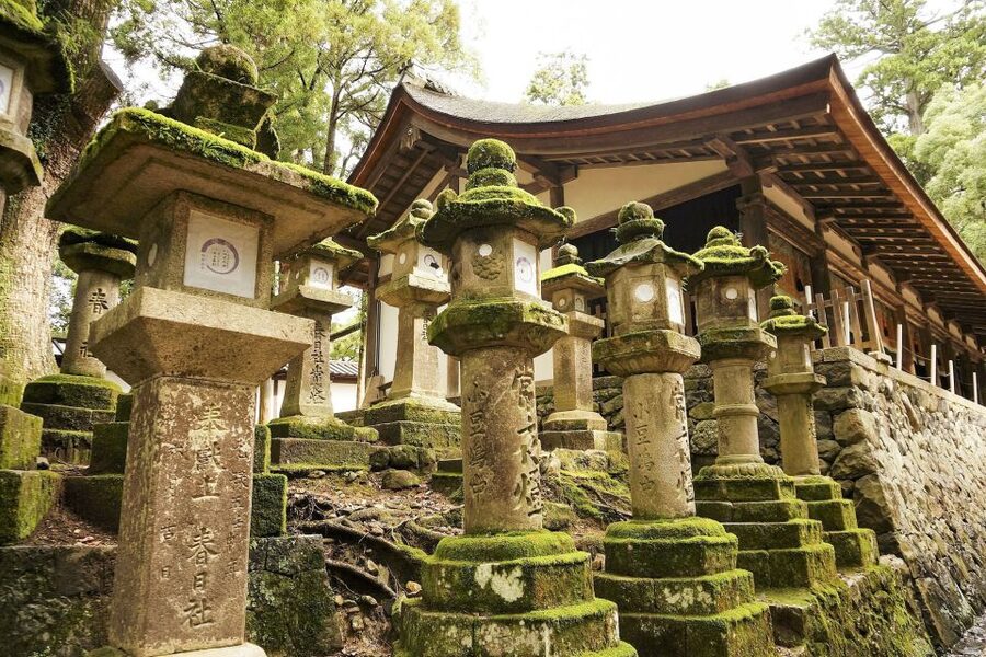 Nara: Private Walking Tour with a Local - Families, repeat visitors, and first-time explorers