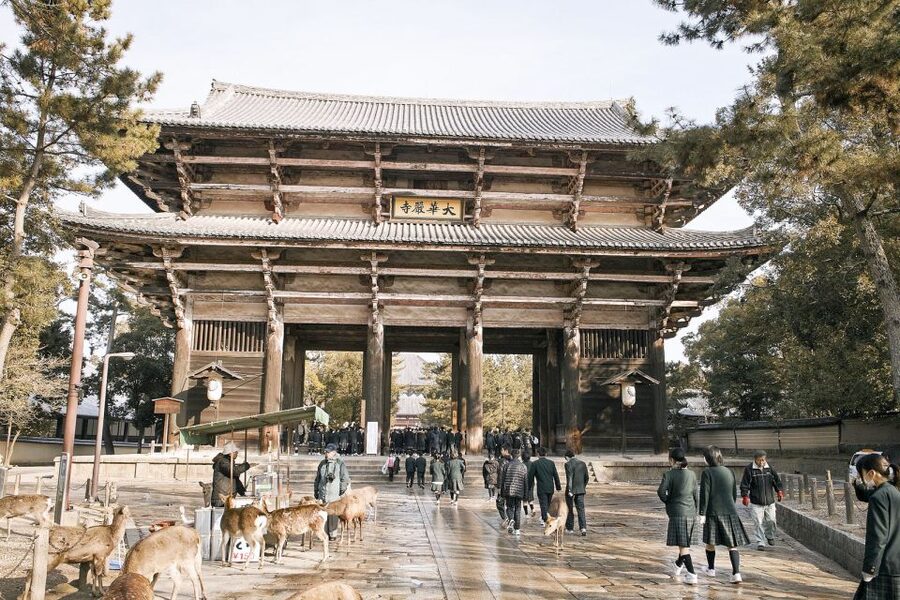 Nara: Private Walking Tour with a Local - Booking details that affect your day
