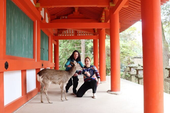 Nara Sake Tasting Tour at Local Brewerie(tasting fee included) - What the guides add to the afternoon