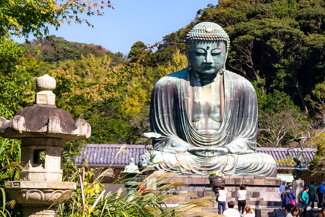 Nara Todaiji Kasuga Taisha Private Full Day Tour From Kyoto - Key points to know before you book