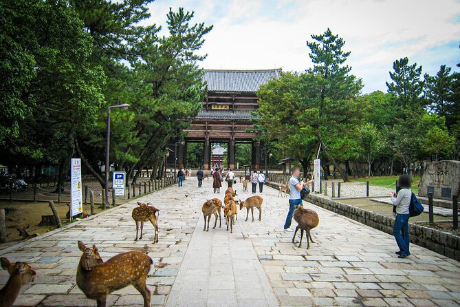 Nara World Heritage PRIVATE TOUR - Spending an hour inside Todai-ji