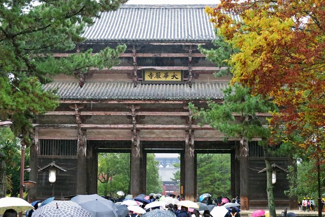 Nara World Heritage PRIVATE TOUR - Ending at Kofuku-ji and the Five-Story Pagoda