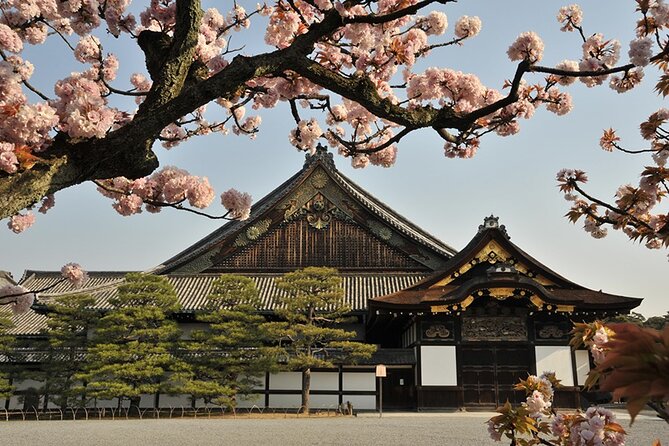 Nijo Castle Samurai Inside Story — Top-Rated Guide (Max 8) - Samurai stories beyond the usual facts