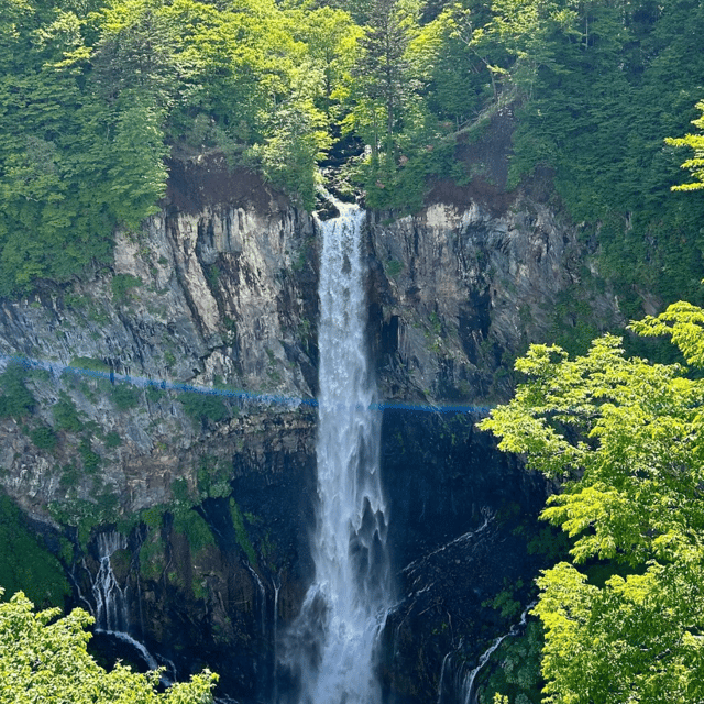 Nikko Heritage & Nature Day Trip from Tokyo - What your driver does well, and what remains your job