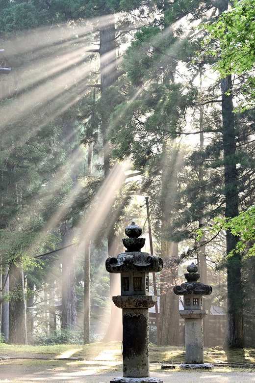 Nikko Heritage & Nature Day Trip from Tokyo - Toshogu Shrine, Nikko’s grand cultural centerpiece