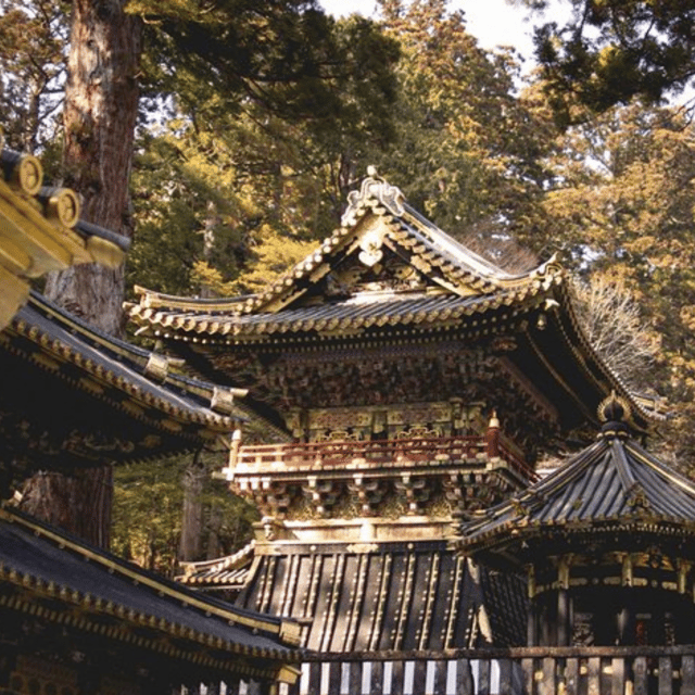 Nikko Heritage & Nature Day Trip from Tokyo - Kanmangafuchi Abyss if the clock allows