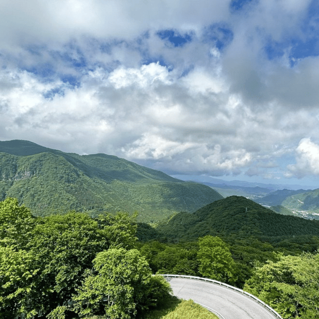Nikko Heritage & Nature Day Trip from Tokyo - Hotel pickup and the long road to Nikko