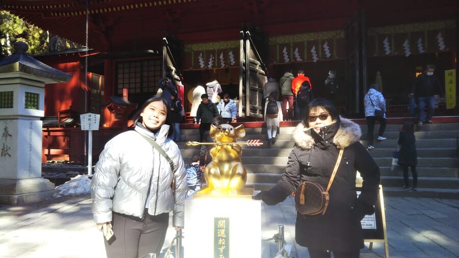 Nikko: Private Walking Tour with Local Guide - Toshogu Shrine and its remarkable carvings