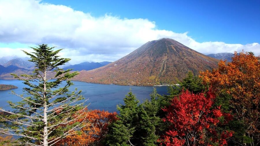 Nikko: Private Walking Tour with Local Guide - The bus ride along Iroha Zaka