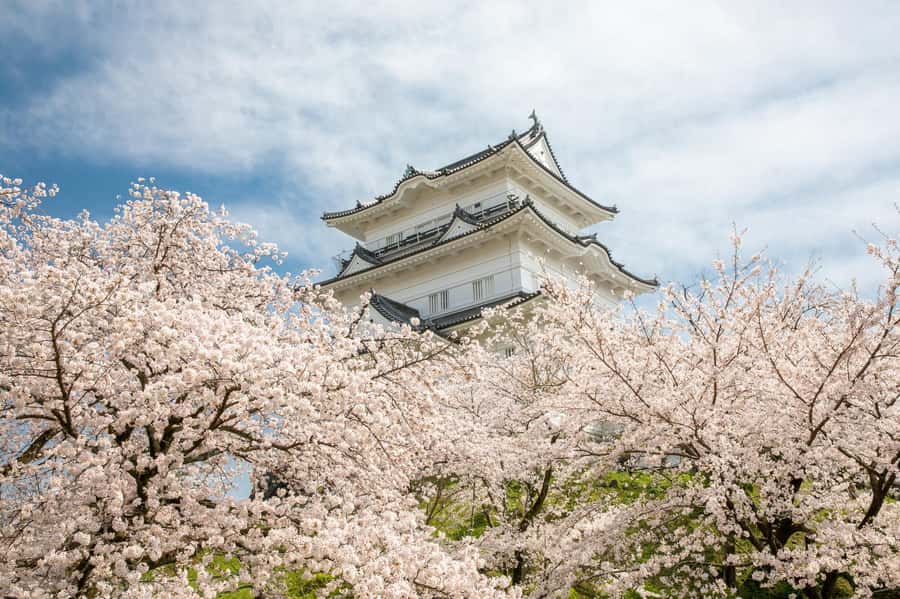 Odawara: Guided Ninja & Samurai Tour of Odawara Castle - Why Odawara makes a good warrior-history stop