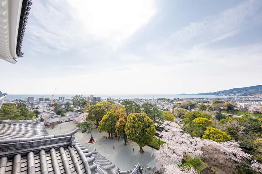 Odawara: Guided Ninja & Samurai Tour of Odawara Castle - Seeing armor and weapons at the Samurai Museum