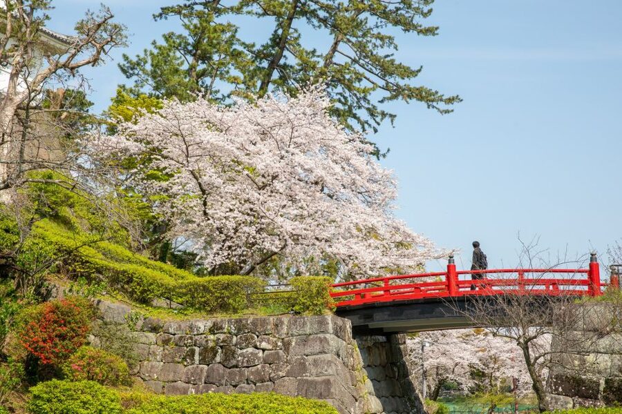 Odawara: Odawara Castle Tenshukaku Entrance Ticket - Five Floors of Stairs to the Castle Top