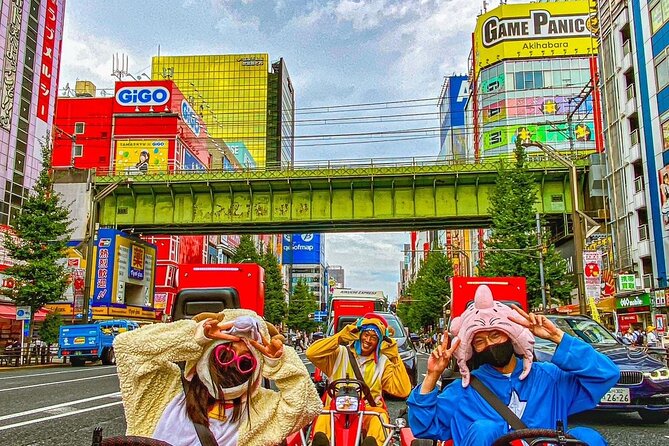 Official Street Go-Kart Tour - Akihabara - The driving permit rules are not optional