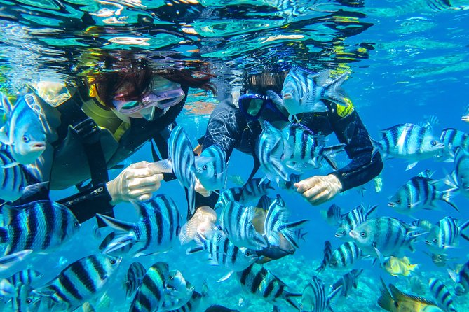 [Okinawa Blue Cave] Snorkeling with Private Guide+ Free Photos - The Blue Cave at Cape Maeda