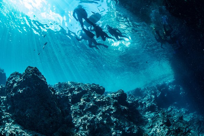 [Okinawa Blue Cave] Snorkeling with Private Guide+ Free Photos - If weather closes the Blue Cave
