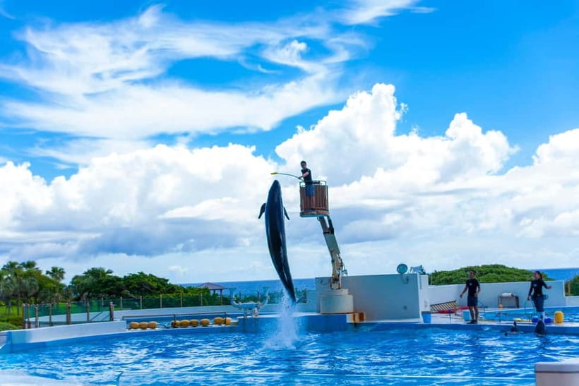 Okinawa: Churaumi Aquarium, Ryukyu Village & Manza Bus Tour - Banta Cafe and the Final Sea View