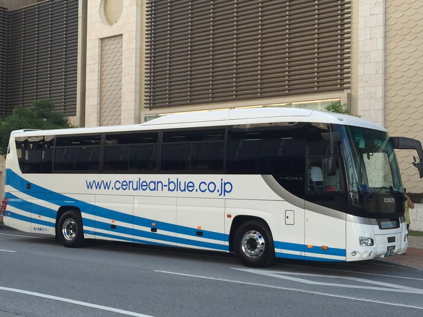 Okinawa: Churaumi Aquarium, Ryukyu Village & Manza Bus Tour - Who Will Get the Most From This Tour?