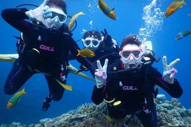 Okinawa: Discover SCUBA Diving 2 Dives at Minna, Sesoko or Motobu - Starting at Yamagawa Port in Motobu