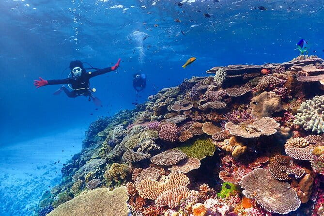 Okinawa: Discover SCUBA Diving 2 Dives at Minna, Sesoko or Motobu - Equipment, instruction, and safety