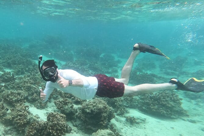 Okinawa: Discover SCUBA Diving 2 Dives at Minna, Sesoko or Motobu - Marine life and the free photography