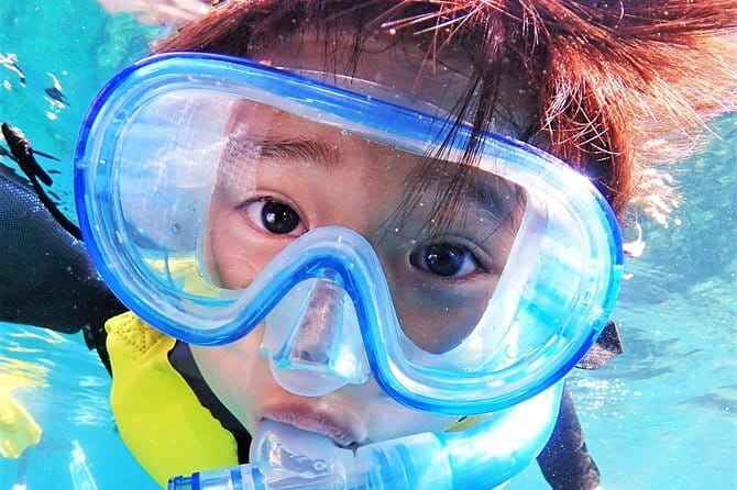 Okinawa: Discover SCUBA Diving 2 Dives at Minna, Sesoko or Motobu - Is $157.65 a fair price?