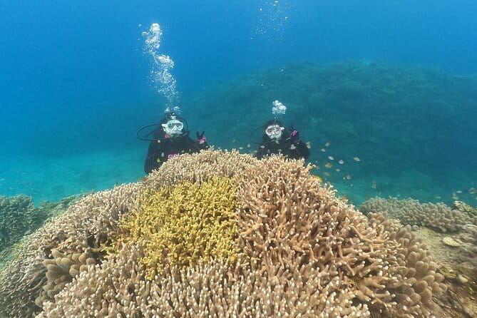 Okinawa: Discover SCUBA Diving 2 Dives at Minna, Sesoko or Motobu - Who should book this Okinawa outing?