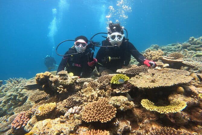 Okinawa: Discover SCUBA Diving 2 Dives at Minna, Sesoko or Motobu - What the boat ride adds