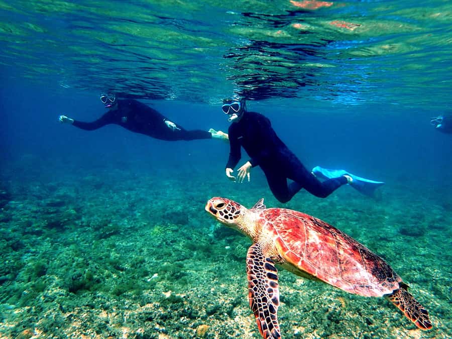 Okinawa: From Naha: Kerama Islands 1-day snorkeling tour - Why the Kerama Islands make a strong day trip from Naha