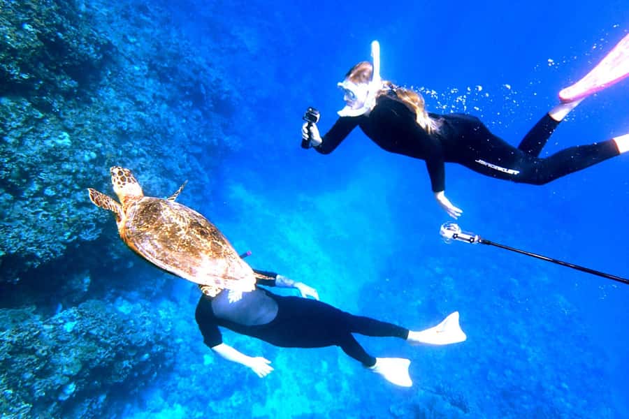 Okinawa: From Naha: Kerama Islands 1-day snorkeling tour - Support for first-time snorkelers