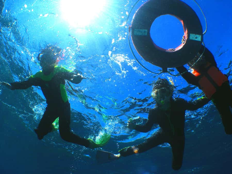 Okinawa: From Naha: Kerama Islands 1-day snorkeling tour - The points I would watch before booking