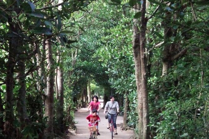 Okinawa HIP-HOP BUS B - 1 Course Tour (Okinawa Churaumi Aquarium) - Bise Fukugi Tree Road and a slower Okinawan pause