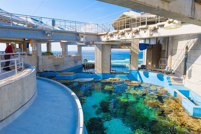 Okinawa HIP-HOP BUS B - 1 Course Tour (Okinawa Churaumi Aquarium) - What to bring and how to manage the day