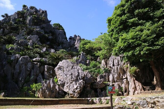 Okinawa Hip-Hop Bus C Course Tour to Northern Island - Key points to know before booking