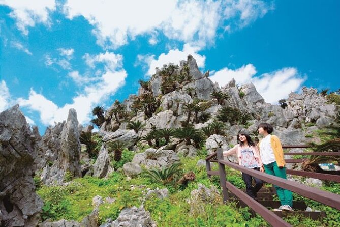 Okinawa Hip-Hop Bus C Course Tour to Northern Island - Why this northern Okinawa day trip works