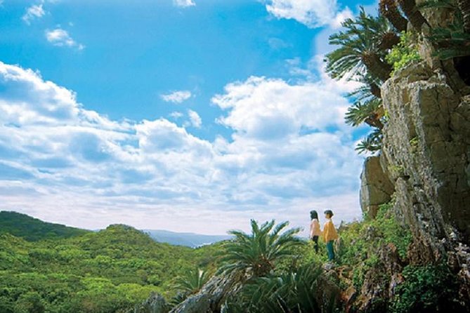 Okinawa Hip-Hop Bus C Course Tour to Northern Island - Cape Hedo, Okinawa’s northernmost viewpoint