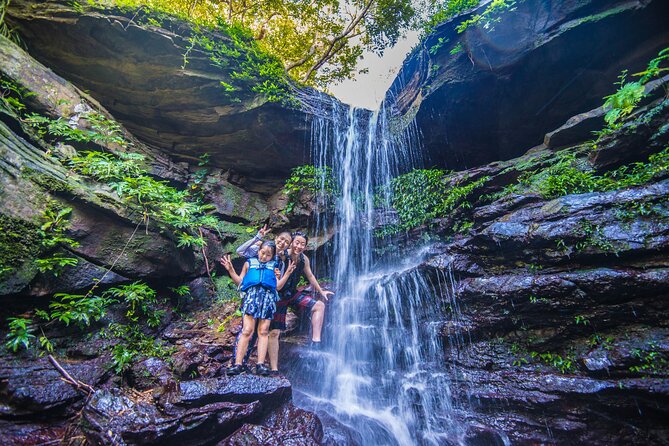 Okinawa Iriomote Mangrove SUP or Canoe Tour - Key points for choosing this Iriomote paddle tour