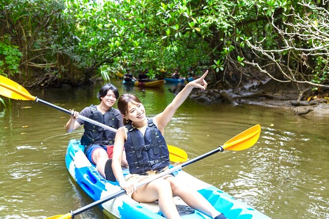 Okinawa Iriomote Mangrove SUP or Canoe Tour - Why Iriomote’s mangrove river is the right setting