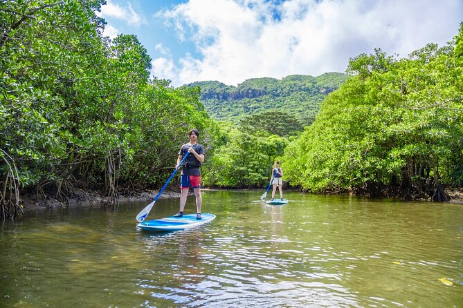 Okinawa Iriomote Mangrove SUP or Canoe Tour - Rain is possible, but unsafe weather changes the plan
