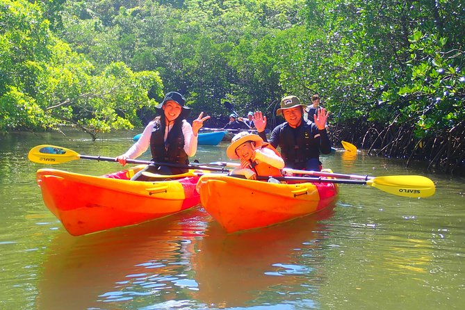 Okinawa Iriomote Mangrove SUP or Canoe Tour - What the $52.40 price includes in practical terms