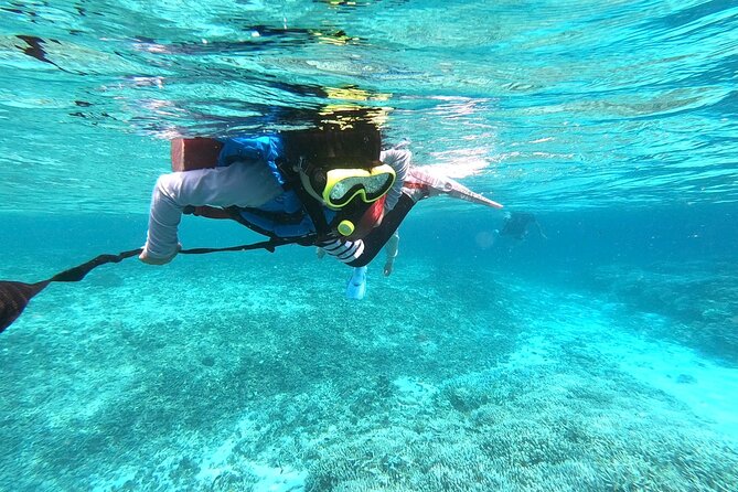 Okinawa Iriomote Snorkeling Tour at Coral Island - Friendly guides, with English support that can vary