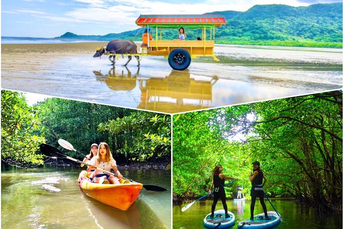 Okinawa Iriomote SUP or Canoe and Sightseeing in Yubujima Island - Calm mangrove water makes the first hour easy